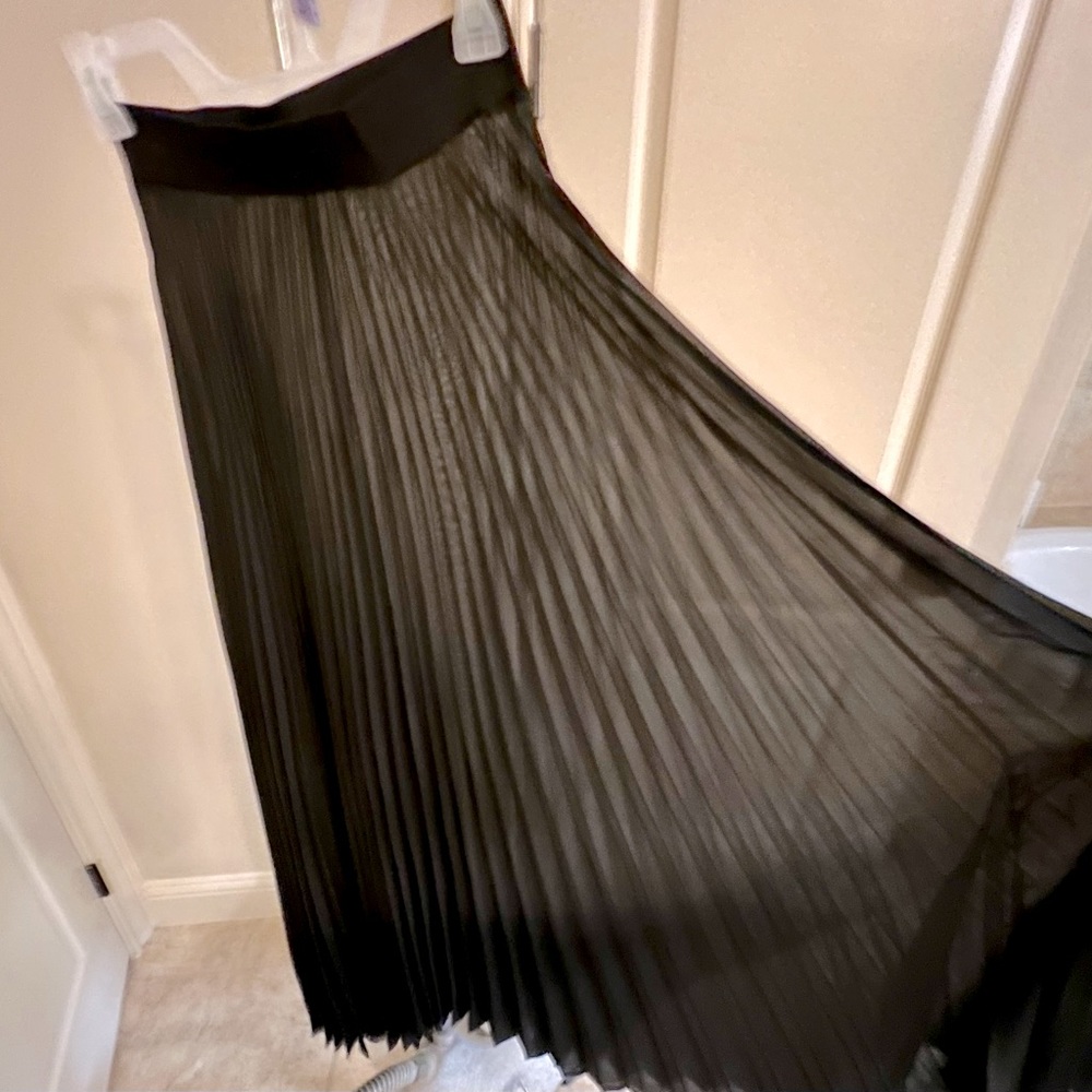 Full Length, Sheer Black Pleated Skirt Size S